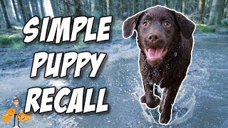 Puppy Recall Training Made Easy [upl. by Joane]