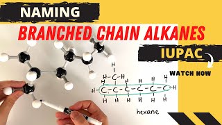 Naming organic compounds  branched chain alkanes [upl. by Hayden]