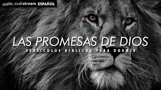 Las Promesas de Dios  Versiculos Biblicos Para Dormir [upl. by Jacques787]