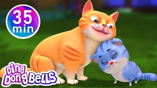 Meow Meow Billi Karti  12 more Hindi Rhymes  Nursery Rhymes Hindi  Ding Dong Bells [upl. by Adelbert]