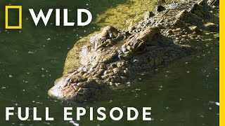 Rivers of Death Full Episode  Worlds Deadliest [upl. by Swigart]