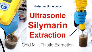 Silymarin  Cold Milk Thistle Extraction by Ultrasonication [upl. by Latashia]