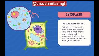 Plant Cell and Animal Cell Structure Different Cell Organelles Explainedbiology hot topic [upl. by Euhsoj492]