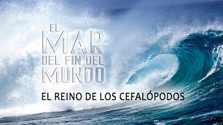 El Mar del Fin del Mundo Cap 1 El Reino de los cefalópodos Español [upl. by Shorter]