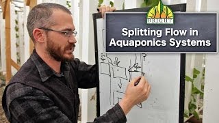 1Pump Aquaponics Systems Splitting Flow [upl. by Marsland751]