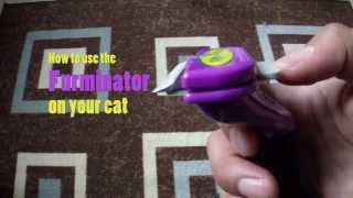 How To Use The FURminator On Your Cat [upl. by Anad]