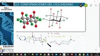 TEMA 2 CICLOALCANOS  23 CONFORMACIONES DEL CICLOHEXANO [upl. by Eimilb]