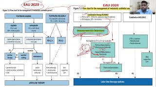 Metastatic Bladder Cancer  EAU 2024 guidelines Update  Dr Ankit Goel FRCS Urology [upl. by Aryc]