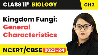 Kingdom Fungi General Characteristics  Class 11 Biology Chapter 2  NCERTCBSE [upl. by Nytsyrk]