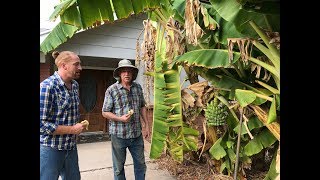 How To Construct A Healthy Soil  Interview with Master Gardener [upl. by Cardon]