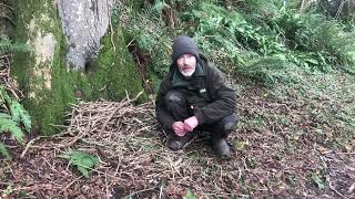 Survival and bushcraft skills Starting a fire with a lighter and wet wood [upl. by Labana]