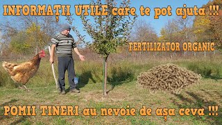 Cu așa ceva îmi fertilizez toamna POMII FRUCTIFERI din gospodărie [upl. by Ynnob]