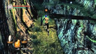 Dark Souls  PTDE  Calamity Ring Challenge NG  Assassins Run Part 1 [upl. by Ecaj]