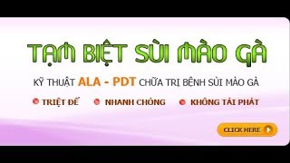 Chũa Sùi Mào gà Bằng Thuốc Đáp Ứng Miễn DịchThuốc Imiquimod Chữa Sùi Mào Gà 0964897789 [upl. by Ruamaj]