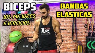 🔴 Top Ejercicios BANDAS ELÁSTICAS BICEPS  Biceps con Gomás Elásticas [upl. by Tarrant734]