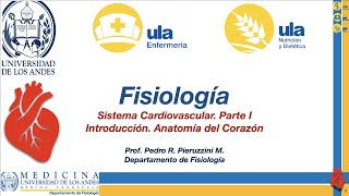 Sistema Cardiovascular I Generalidades Anatomía del Corazón [upl. by Boatwright]