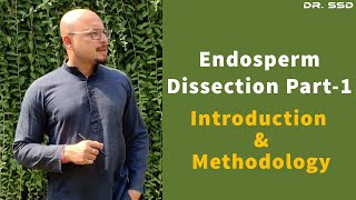 Endosperm Dissection Part1 Introduction amp Methodology  Dr Sourav Singh Deo [upl. by Suivatnom]