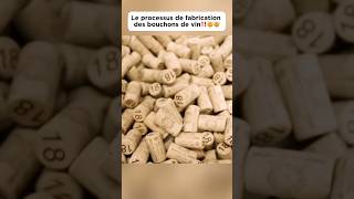 Le processus de fabrication des bouchons de vin‼️🤯🤯 bouchon wine plug découverte pourtoi fyp [upl. by Ahsirat]