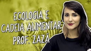 Ecologia e cadeia alimentar  Biologia  Prof Zazá [upl. by Eicyak347]