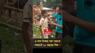 সাড়ে ৩ লাখ টাকার গরু বেচতে পশুহাটে ১০ বছরের শিশু  Korbanir Hat Bazar  gorurhat gorurhaat2024 [upl. by Ontina]