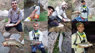 Truchas Arcoiris en Huaco La Rioja Piques en vivo con equipos de Pesca Ultra livianos [upl. by Suckow719]