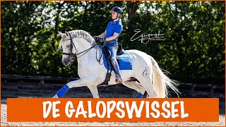 Hoe rijd je een galopswissel  PaardenpraatTV [upl. by Eylsel]