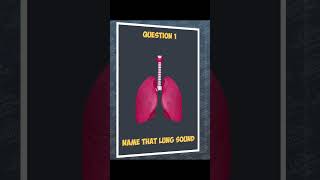 Name that lung sound medicaleducation respiratorymedicine lungsounds auscultation medical quiz [upl. by Bena]