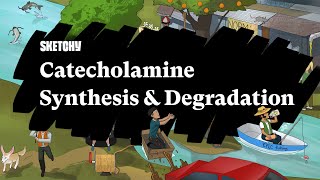 Catecholamine Synthesis amp Degradation Part 1  Sketchy Medical  USMLE Step 1 [upl. by Chretien687]