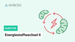 Energiestoffwechsel Teil 4  Fettsäuren und CarnitinCarrier  AMBOSS Auditor [upl. by Kcirdderf283]