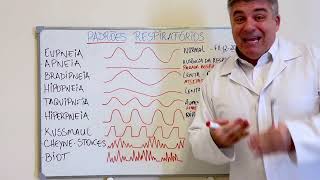 SEMIOLOGIA PADRÕES RESPIRATÓRIOS [upl. by Suchta]