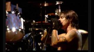 Cant Stop  Red Hot Chili Peppers  Slane Castle [upl. by Festa738]