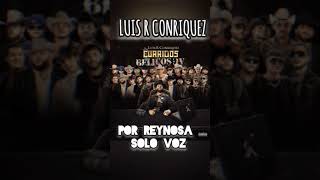 LUIS R CONRIQUEZ POR REYNOSA SOLO VOZ [upl. by Ihpen]