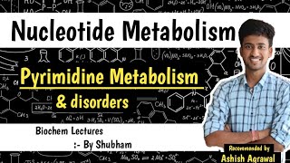 Pyrimidine Metabolism amp Disorder  Nucleotide Metabolism  Biochemistry Lectures [upl. by Uht178]