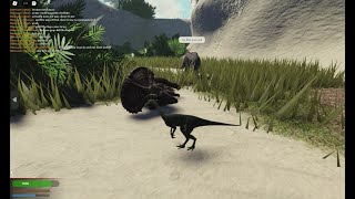 Compsognathus hunting with KaprosuchusThe Sanctuary [upl. by Nnaitsirk]