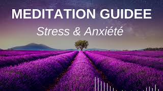 Méditation Guidée  Une Nouvelle Perspective  Méditation pour Anxiété Stress états dépressifs [upl. by Alton]