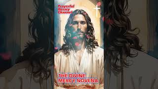 Novena to the Divine Mercy Day 1 [upl. by Nilac]