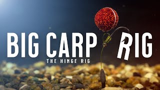 BIG CARP RIG Carp Fishing Rigs Made Easy  Tie THE HINGE RIG PopUp Rig Like A PRO Mainline Baits [upl. by Anerac]