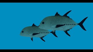 ocean como encontrar Gulf Carpet Shark Lattice Soldierfish y Black Trevally en dbsa de roblox [upl. by Inoj896]