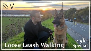 Loose Leash Training Thanks For 25k Subscribers [upl. by Piwowar]