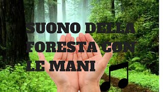 Imparare il suono della foresta con le mani [upl. by Marola]