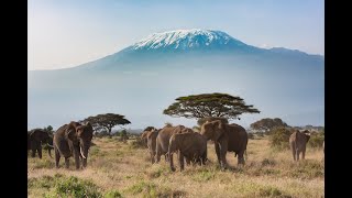 Mt Kilimanjaro with the American Alpine Institute [upl. by Akirdnahs69]