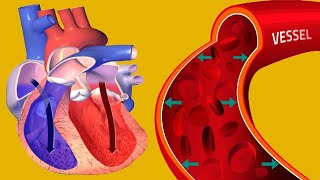 High Diastolic Blood Pressure Causes And Symptoms [upl. by Nawtna]