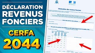 DÉCLARATION DIMPOTS sur les REVENUS FONCIERS CERFA 2044  Robin Eldin [upl. by Eleynad]