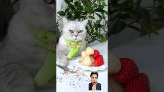 ASINAN STRAWBERRY pets food fruit ngeshortsdulu [upl. by Ybur793]