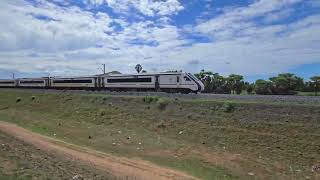 Ernakulam  Tatanagar Express crossing Visakhapatnam  Secunderabad Vandhe Bharat Express [upl. by Morrissey]