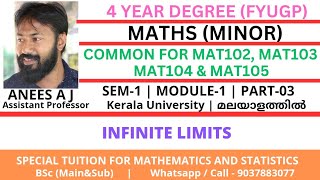 Infinite Limits  Maths Minor  Sem1  4 year degree  kerala university  Malayalam [upl. by Aicinod233]