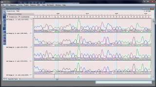 DNASTAR  Assembling and Analyzing Sanger Sequencing Data [upl. by Eentroc]