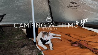 Camping with Two Shy Cats  Physis Beach Campsite Sedili  Teepe Tent Beach Camp Malaysia [upl. by Eneloj946]