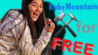 Mining Garnet and Obsidian for FREE  Ruby Mountain Colorado [upl. by Ring493]