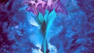 Throat 5th Chakra Harp Meditation Healing Music [upl. by Burk]